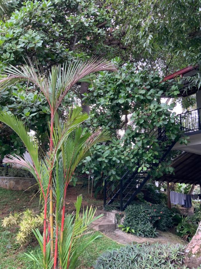 Lali Villa & Fruit Garden Ґалле Екстер'єр фото