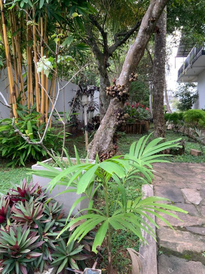 Lali Villa & Fruit Garden Ґалле Екстер'єр фото