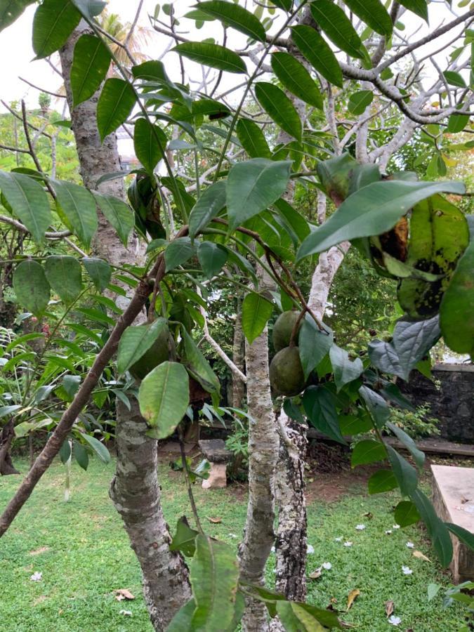 Lali Villa & Fruit Garden Ґалле Екстер'єр фото