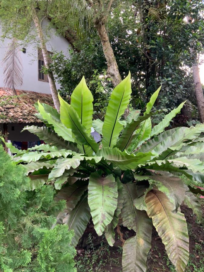 Lali Villa & Fruit Garden Ґалле Екстер'єр фото