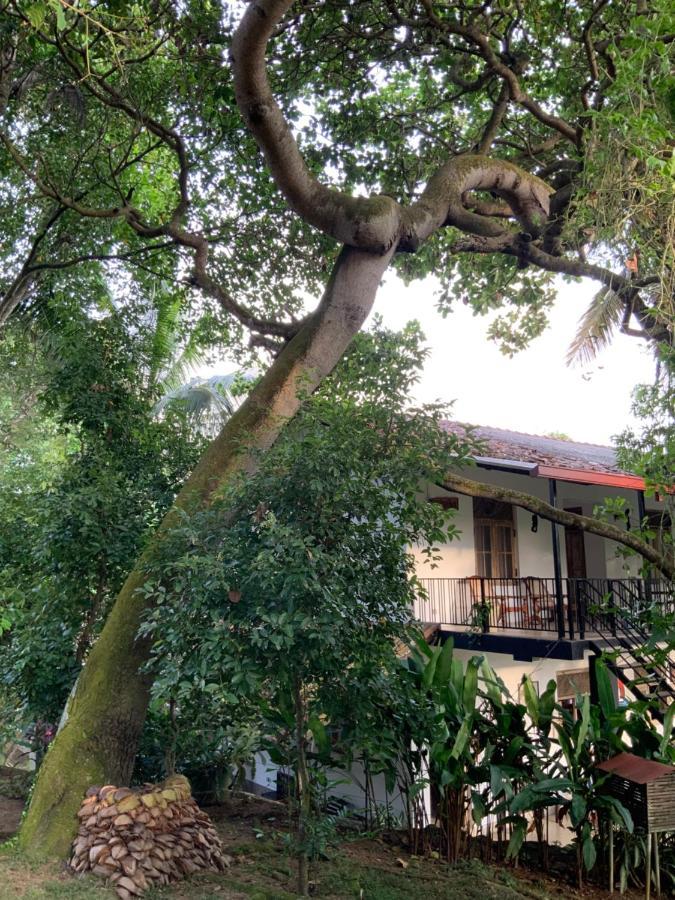Lali Villa & Fruit Garden Ґалле Екстер'єр фото
