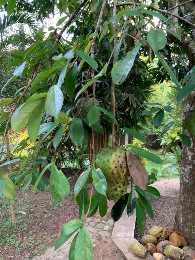 Lali Villa & Fruit Garden Ґалле Екстер'єр фото