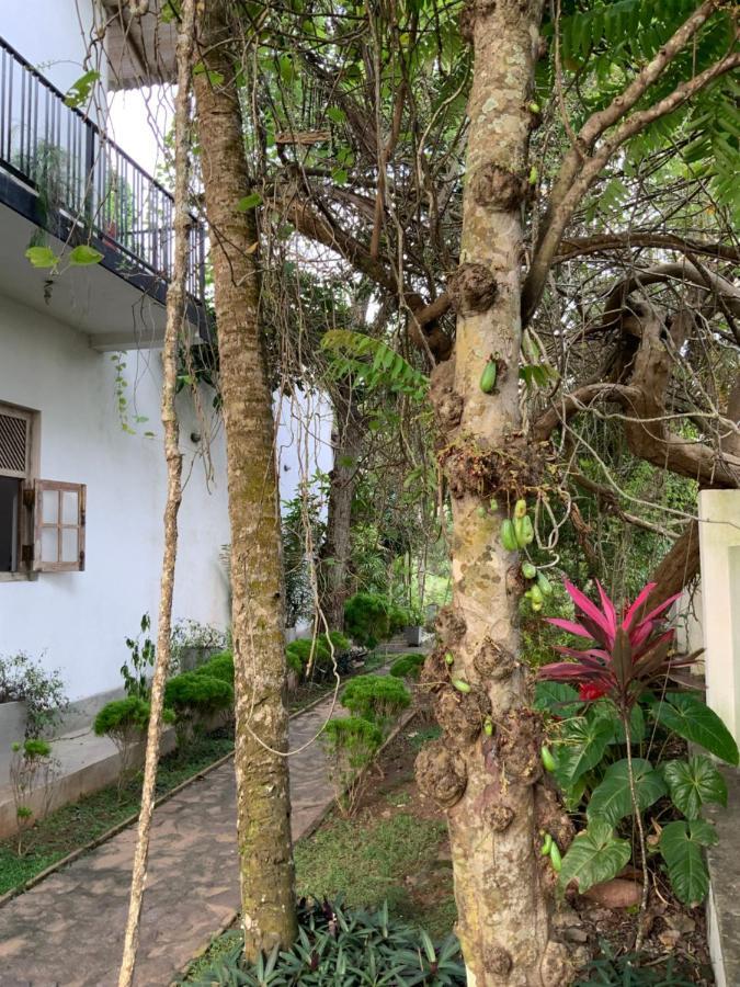 Lali Villa & Fruit Garden Ґалле Екстер'єр фото
